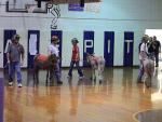 Donkey Basketball 2011
