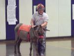 Donkey Basketball 2011