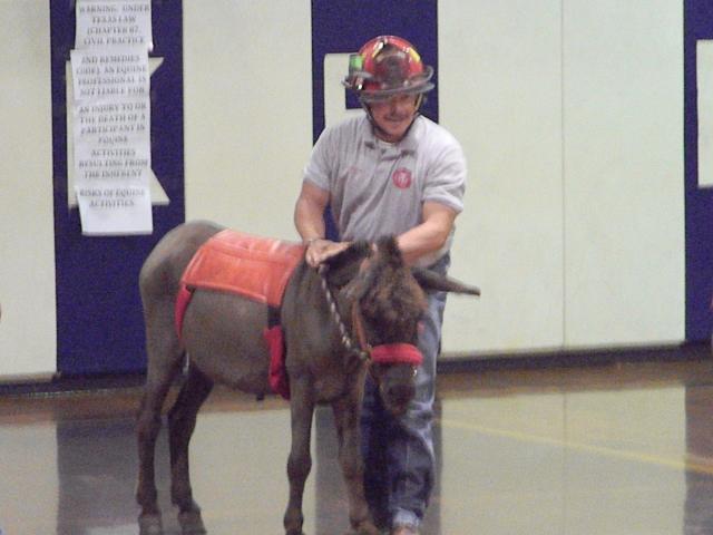 Donkey Basketball 2011