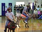 Donkey Basketball 2011