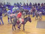 Donkey Basketball 2011 