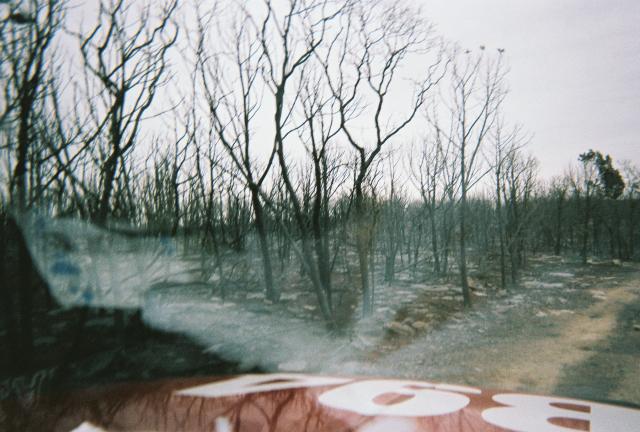 Palo Pinto Fire